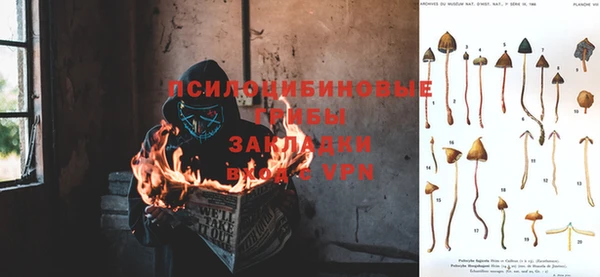 героин Бородино