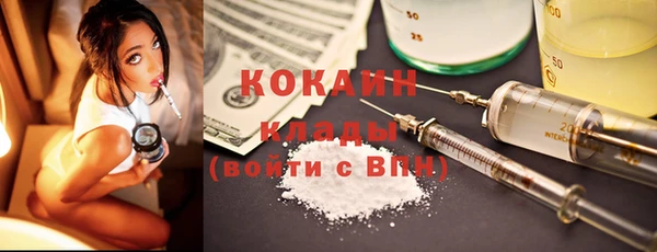 дурь Бронницы