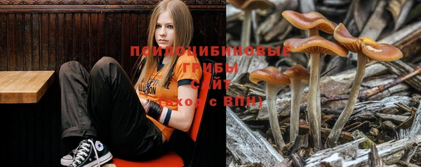 ALPHA-PVP Бугульма