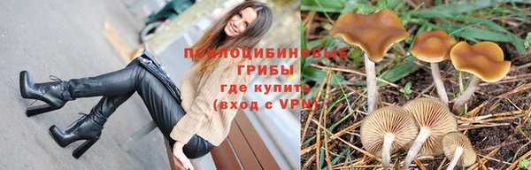 соль курить ск Богданович