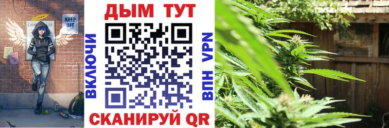 Купить  Карабаново  Канабис White Widow 
